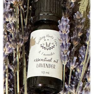 lavender essential oil
