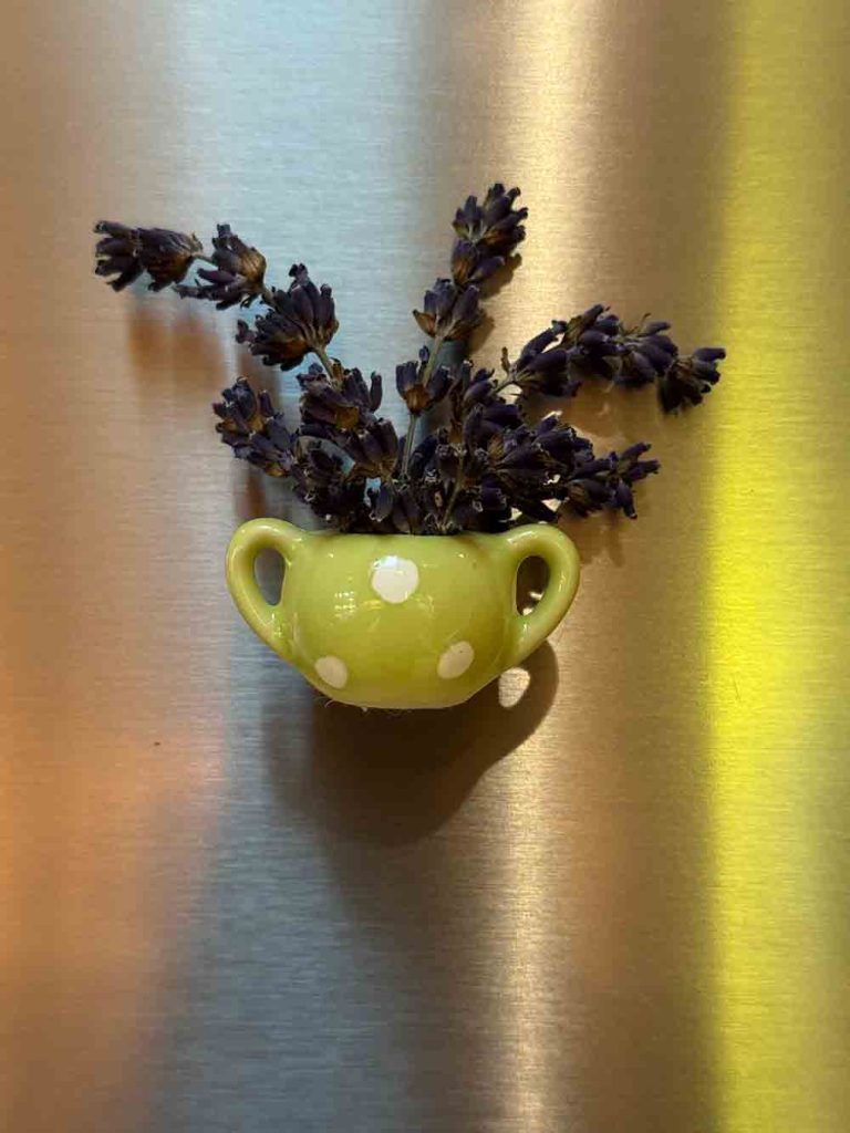 lavender sconce